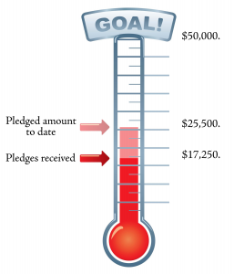 graphic showing thermometer with amount of donations recieved
